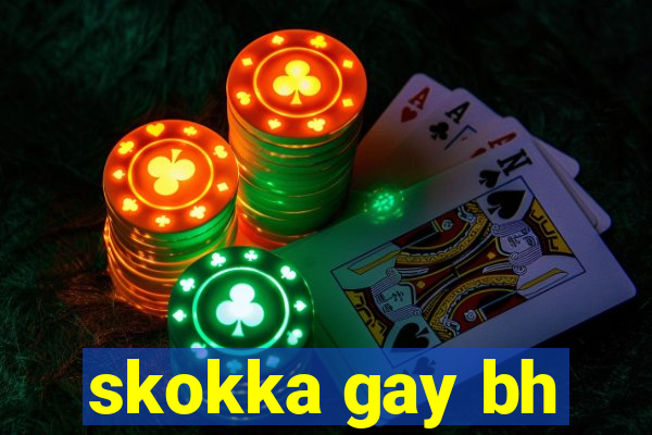 skokka gay bh